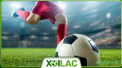 Top các trang web xem trực tiếp Euro 2024 đáng lựa chọn nhất